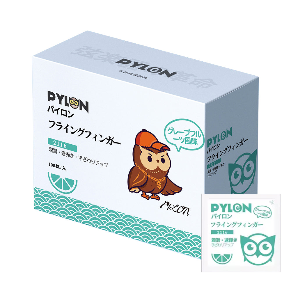 Pylon パイロン 211-◯◯ アコースティックエレキギター清掃・ケアウェットティッシュ