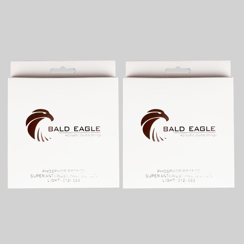 BALD EAGLE 白いワシ アコースティックギター弦 BE◯◯