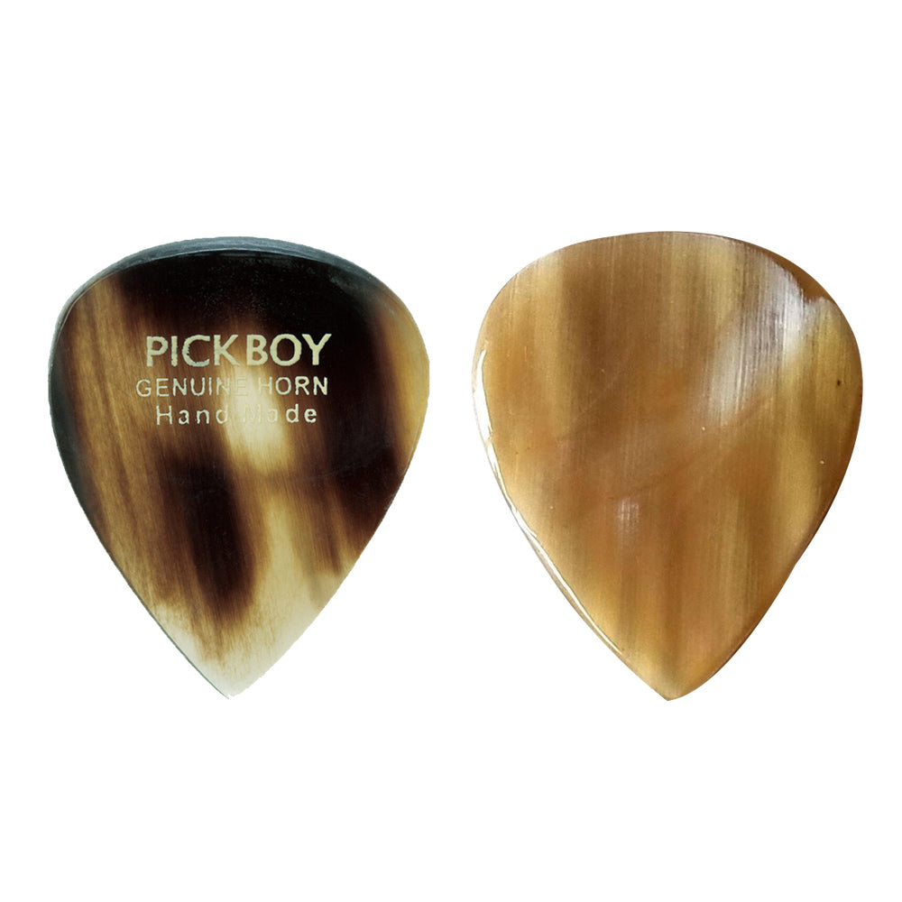 PICKBOY ピックボーイ ギターピックエキゾチックシリーズ両面のくぼみピック