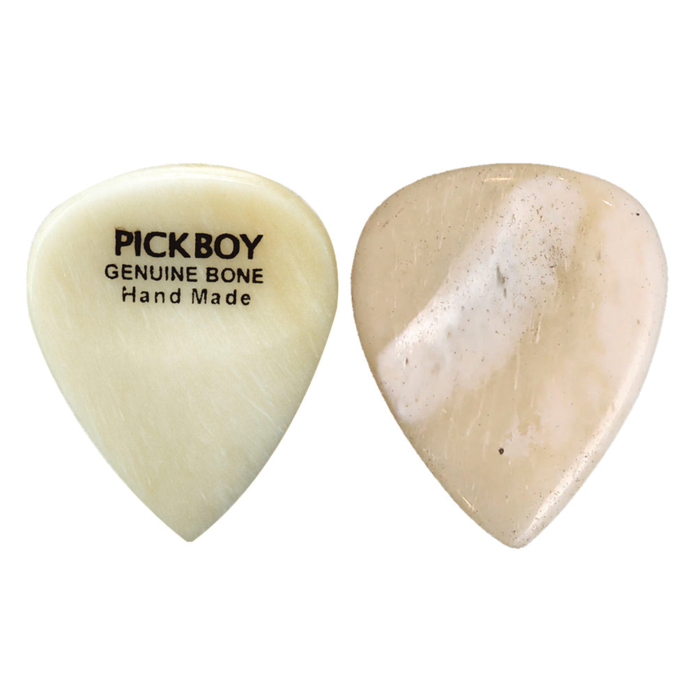 PICKBOY ピックボーイ ギターピックエキゾチックシリーズ両面のくぼみピック
