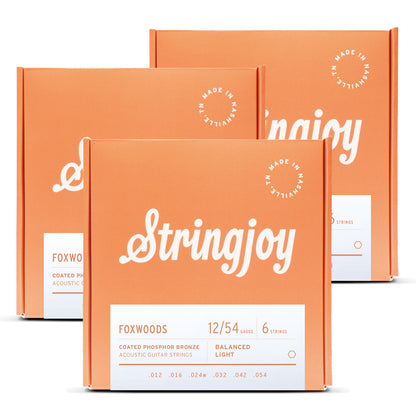 StringJoy ストリングジョイ アコースティックギター弦　アメリカ製ハンドメイド　コーティング弦