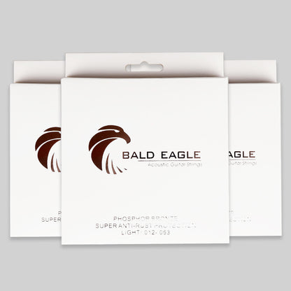 BALD EAGLE アコースティックギター弦 BE◯◯