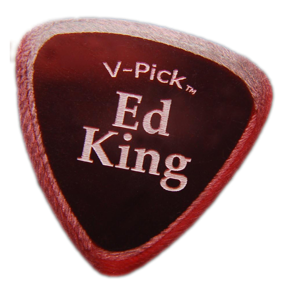 V-Picks ミュージシャン サイン入り エレキギターピック